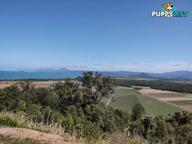 Lots 26 & 27 Hibiscus Court, Port Douglas Views Miallo QLD 4873