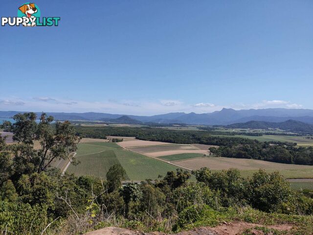 Lots 26 & 27 Hibiscus Court, Port Douglas Views Miallo QLD 4873