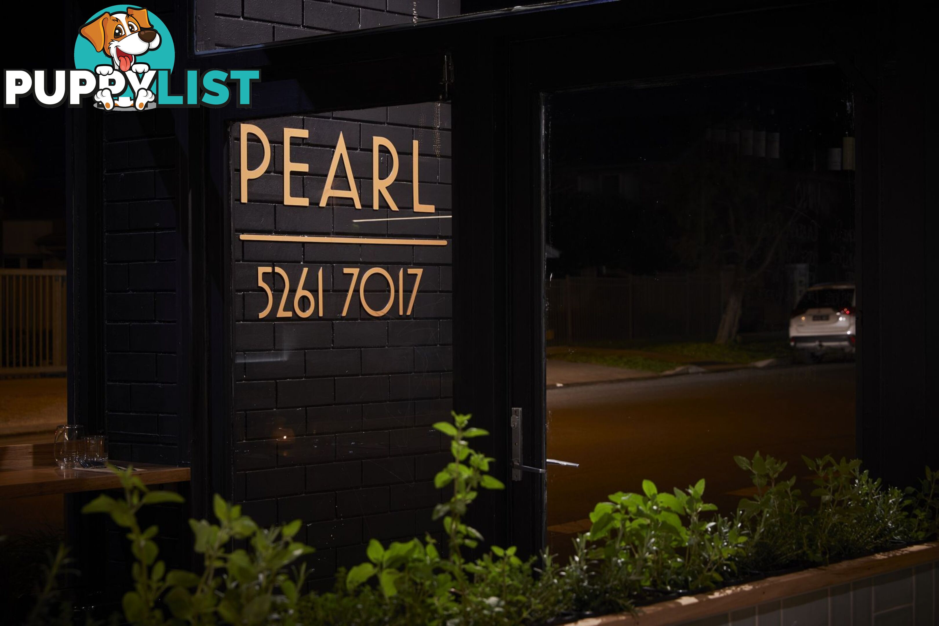 8 Pearl Street Torquay VIC 3228