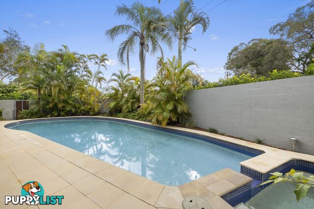 46 Allambi Terrace Noosa Heads QLD 4567