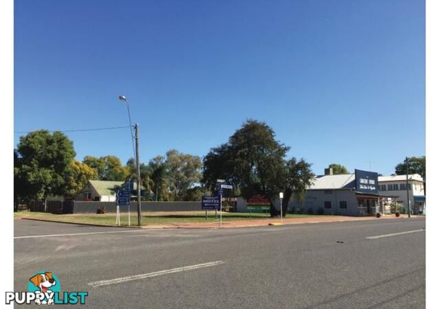 Surat QLD 4417