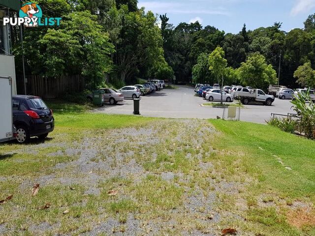 5b Coondoo Street Kuranda QLD 4881