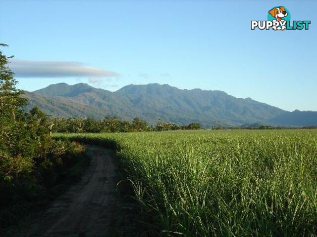 Babinda QLD 4861