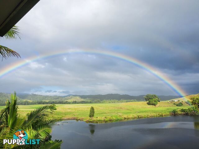 2 Stewart Street Daintree QLD 4873