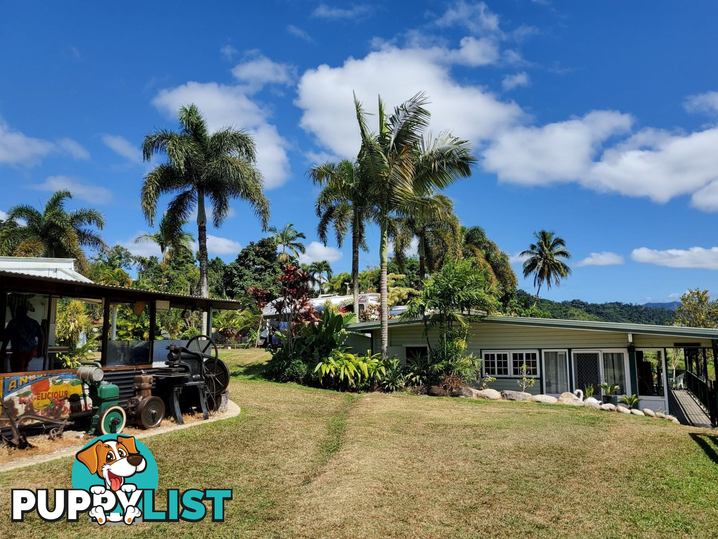 2 Stewart Street Daintree QLD 4873