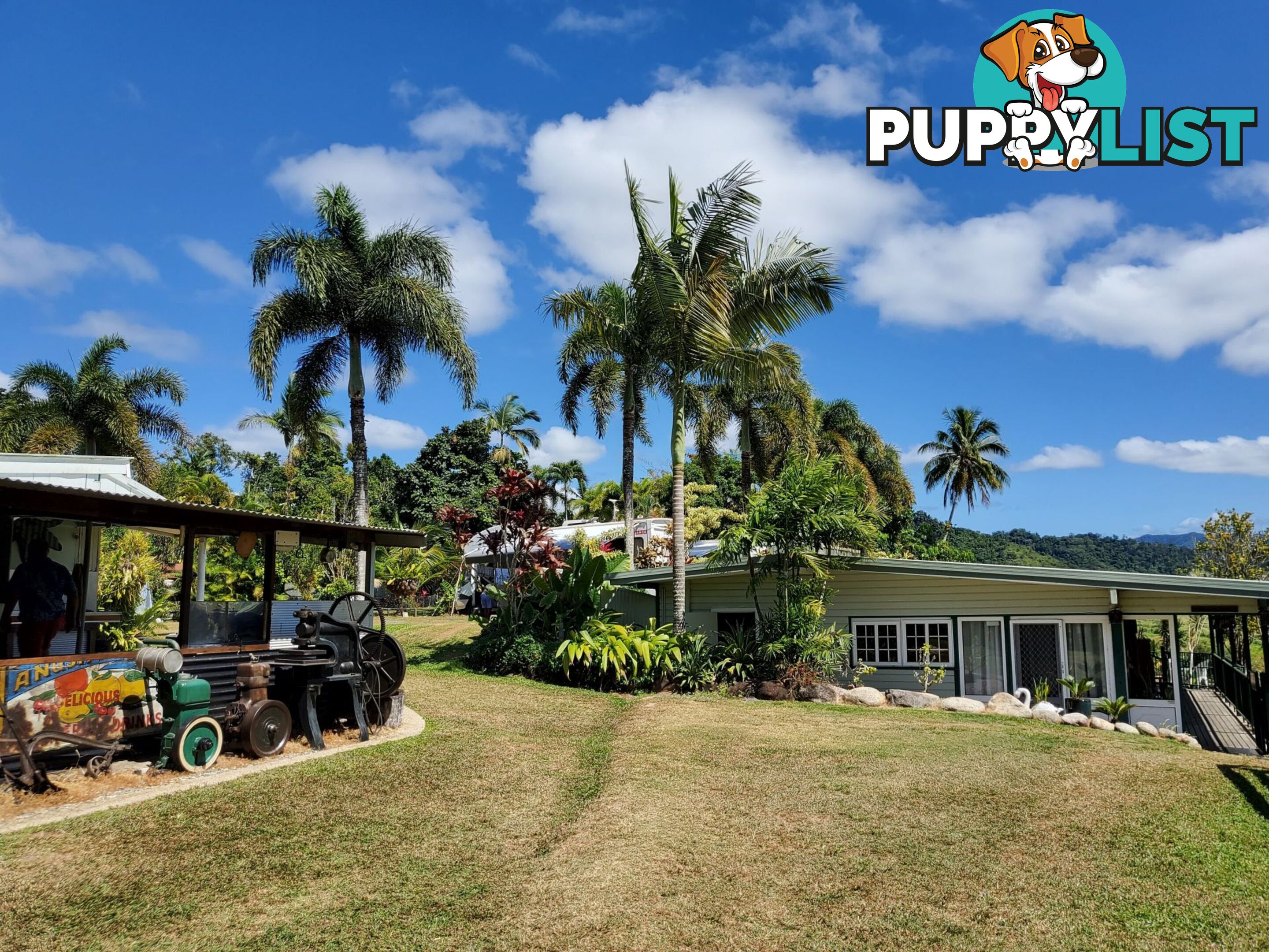 2 Stewart Street Daintree QLD 4873