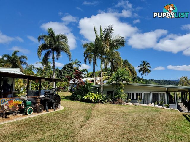 2 Stewart Street Daintree QLD 4873