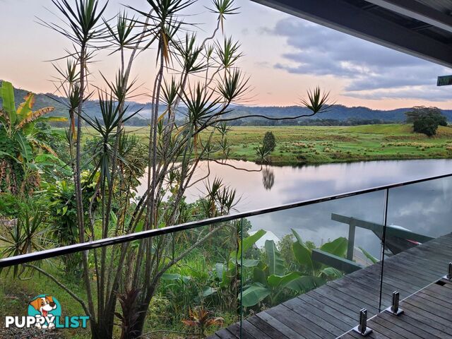 2 Stewart Street Daintree QLD 4873