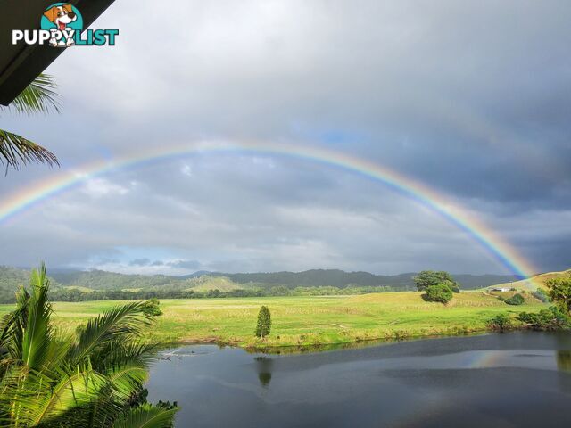 2 Stewart Street Daintree QLD 4873