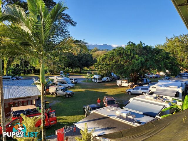 2 Stewart Street Daintree QLD 4873