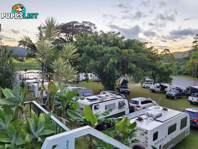 2 Stewart Street Daintree QLD 4873