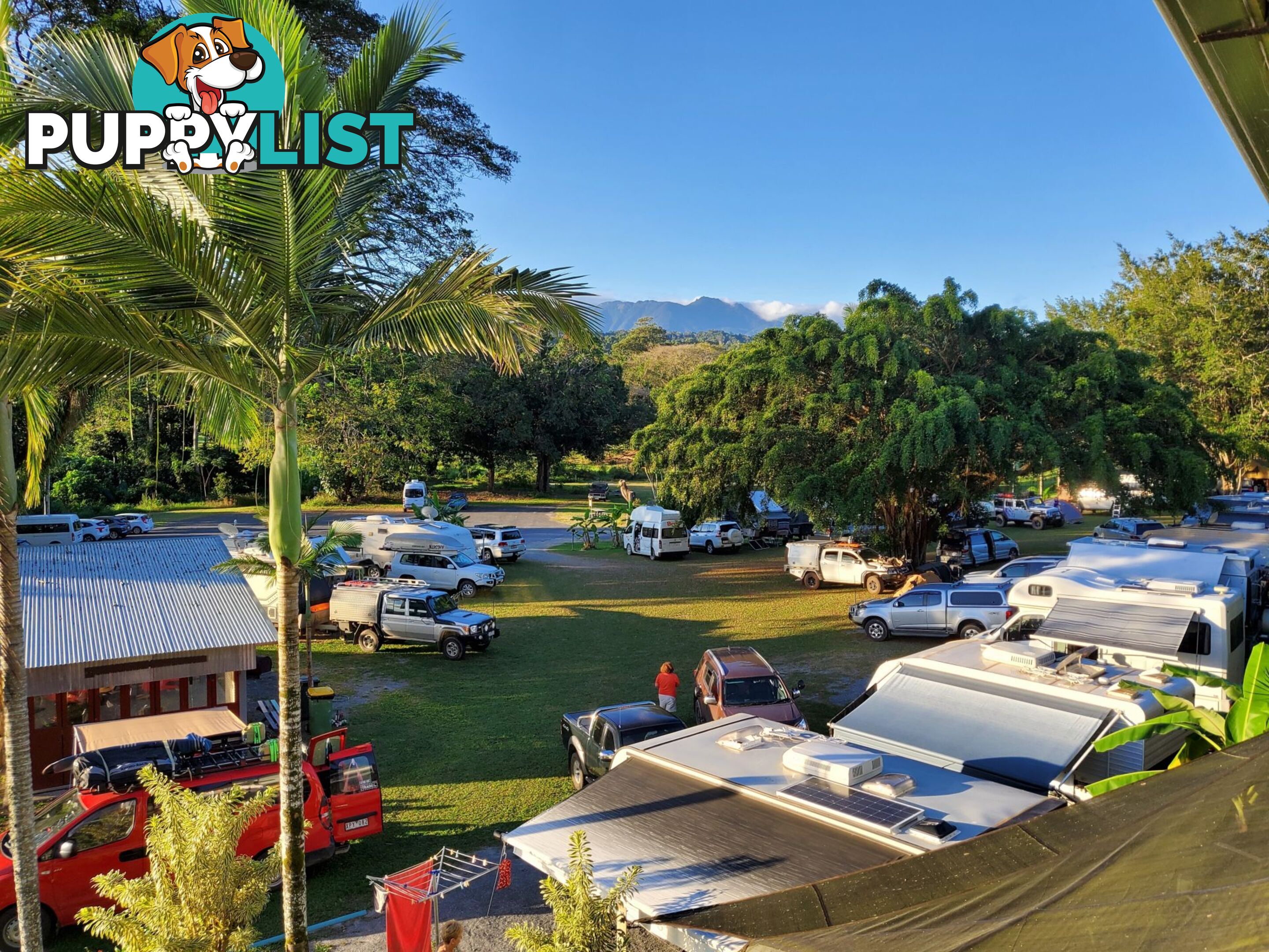 2 Stewart Street Daintree QLD 4873