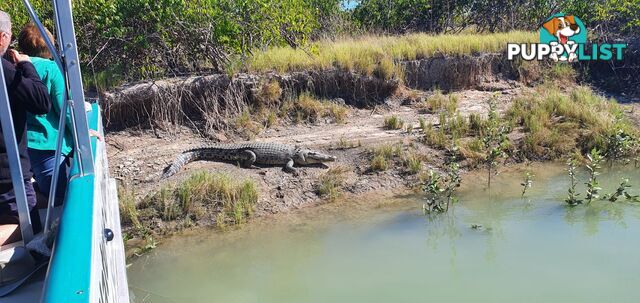 Karumba QLD 4891