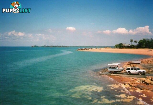 43 Forsyth Road Wagait Beach NT 0822