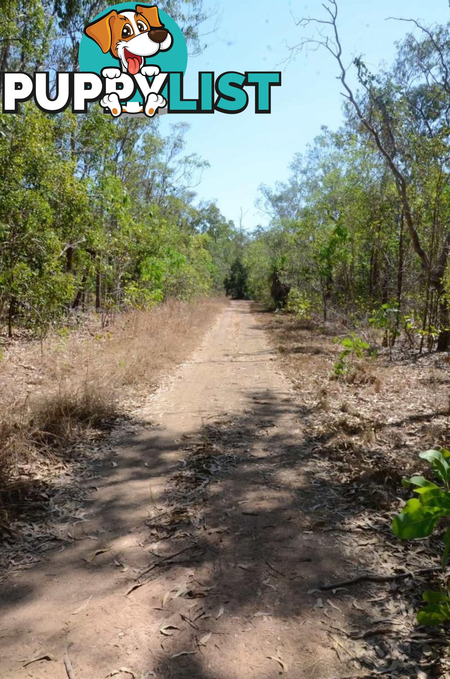 43 Forsyth Road Wagait Beach NT 0822