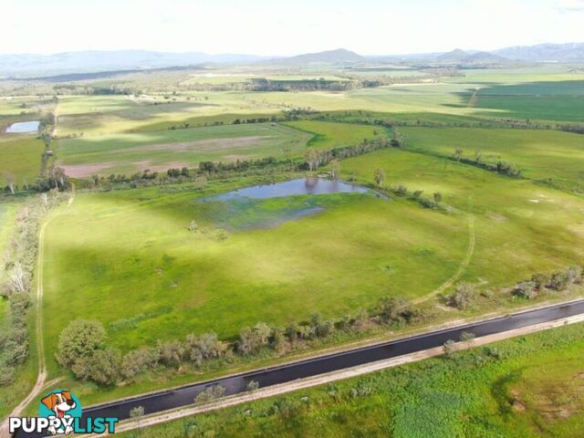 1611 Mareeba Dimbulah Road Arriga QLD 4880