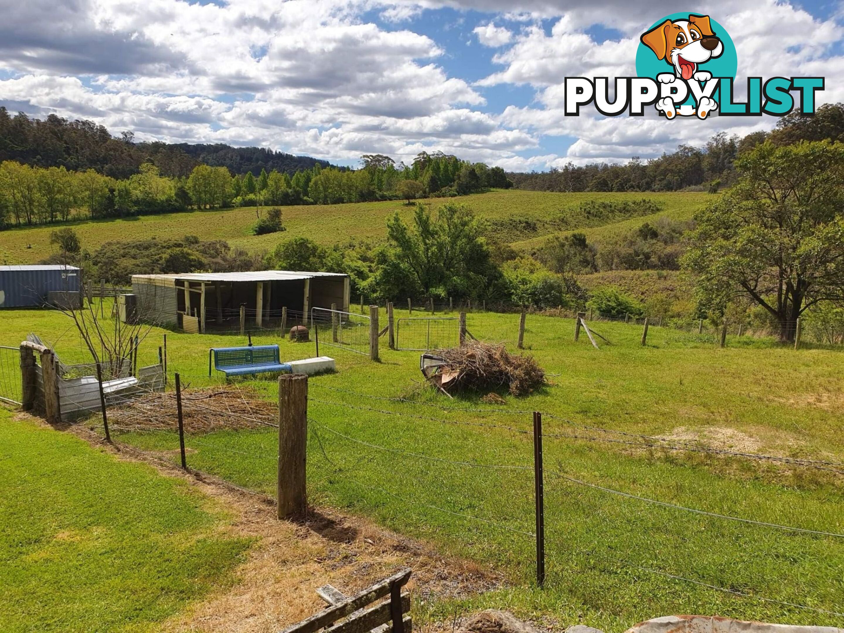 7630 Armidale Rd Billys Creek NSW 2453