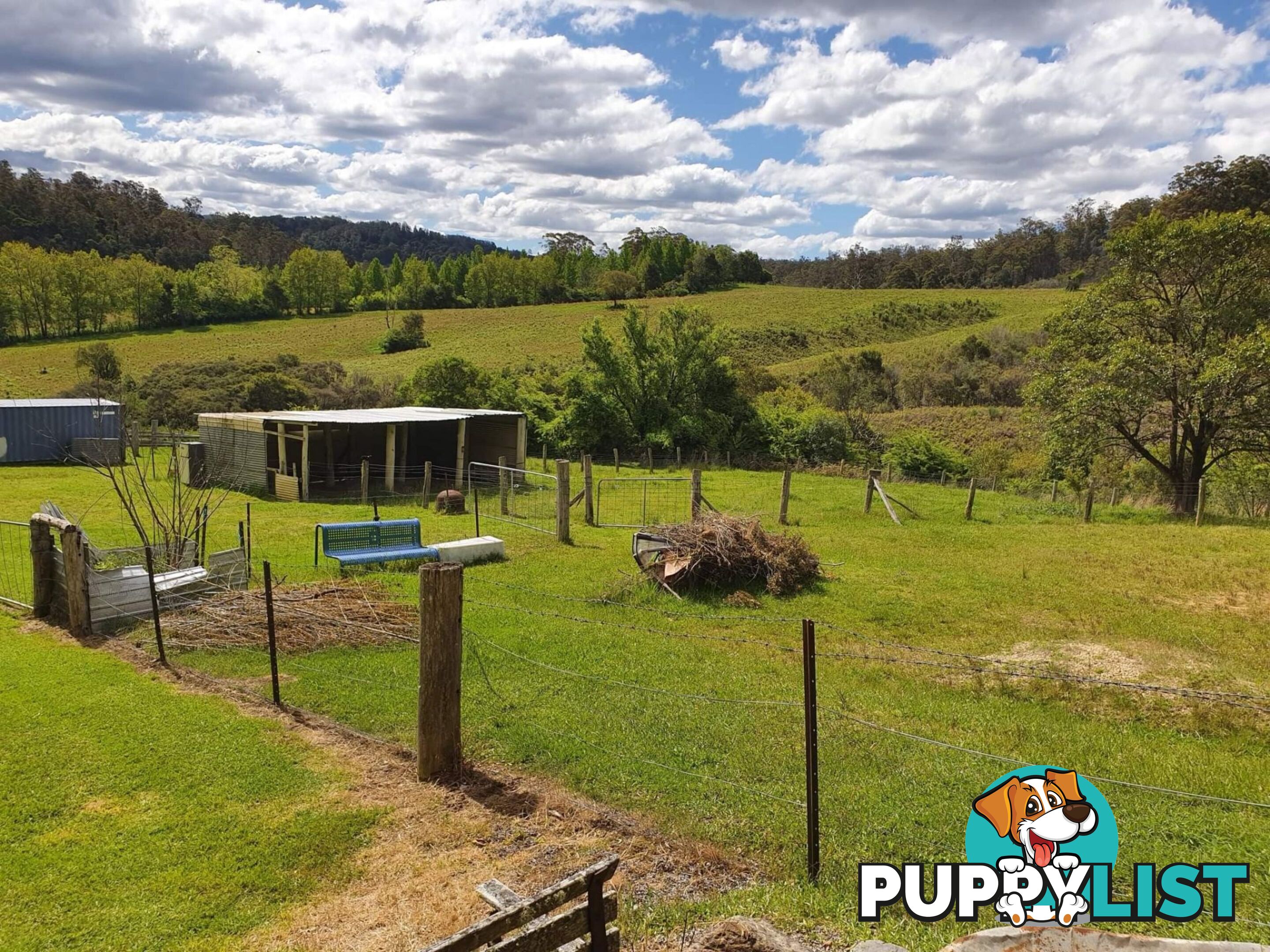 7630 Armidale Rd Billys Creek NSW 2453