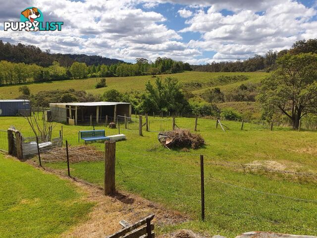 7630 Armidale Rd Billys Creek NSW 2453