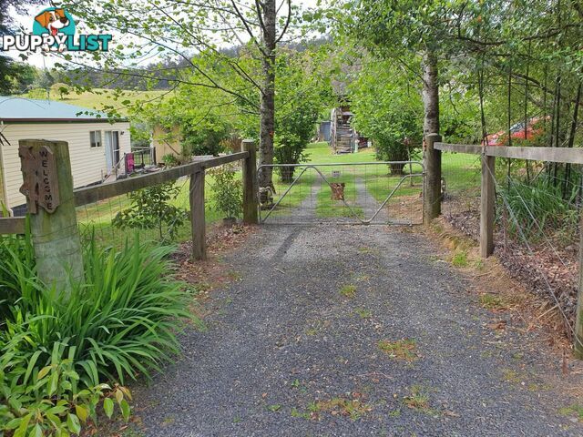 7630 Armidale Rd Billys Creek NSW 2453