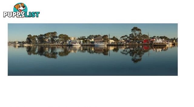 85b Esplanade Paynesville VIC 3880