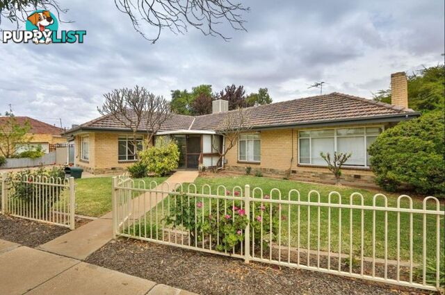 133 Burrows Street Mildura VIC 3500