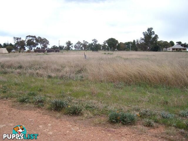 Lot 176 Boree St Grong Grong NSW 2652