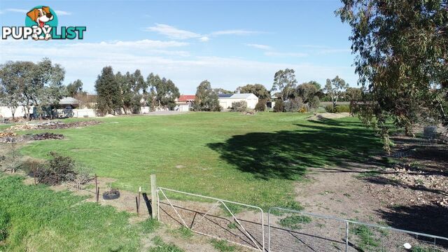 Halls Gap VIC 3381