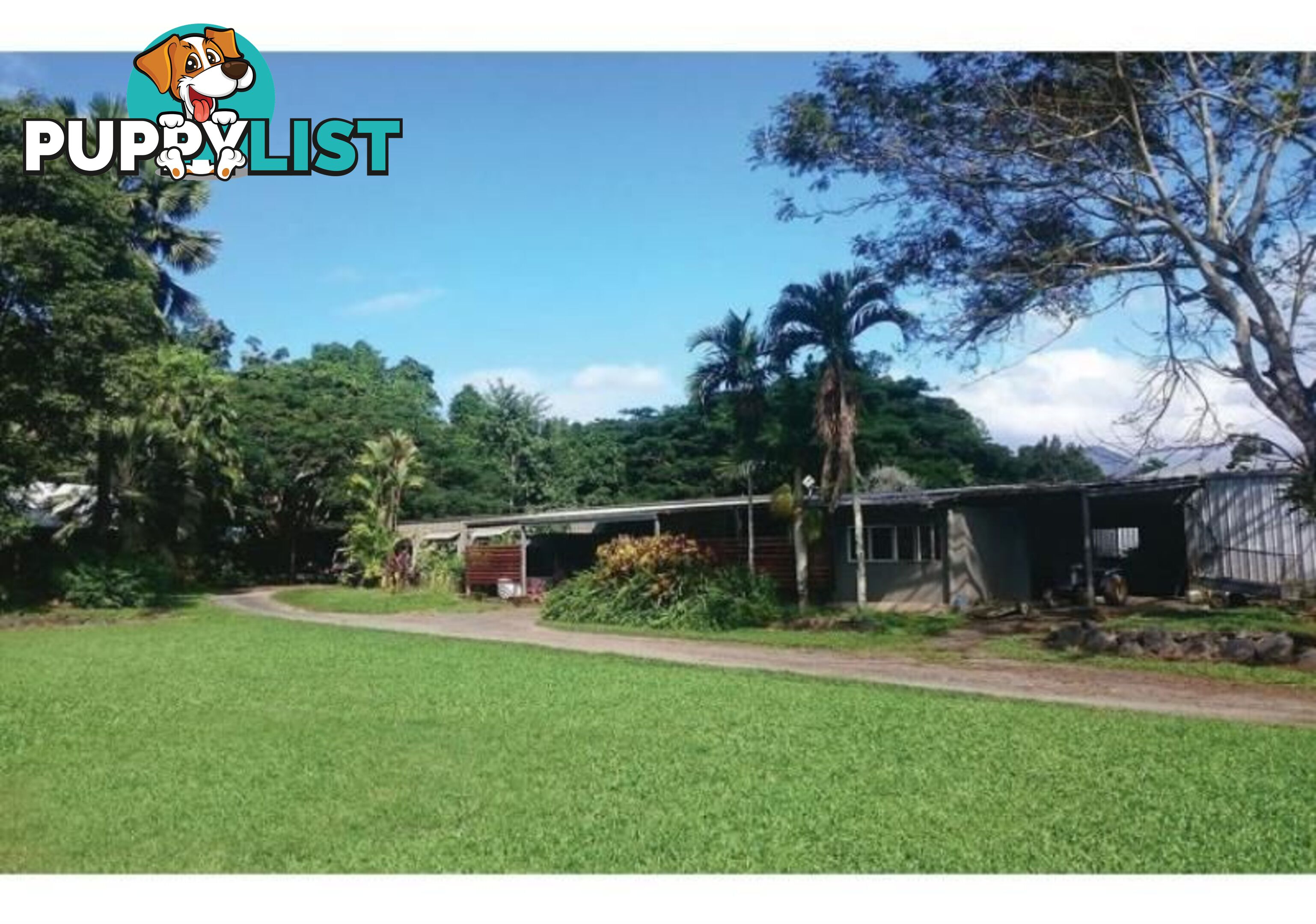 Wrights Creek QLD 4869