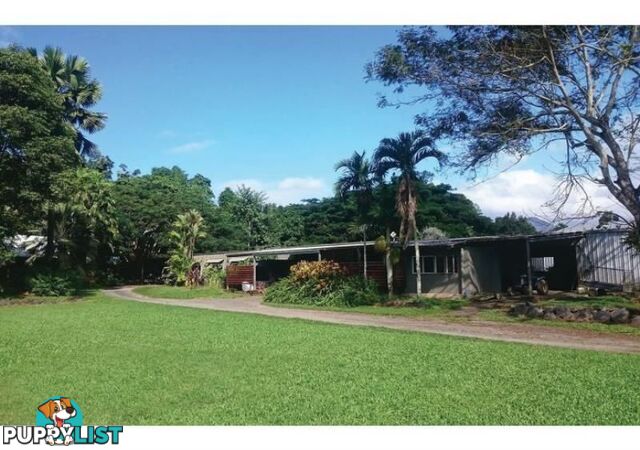 Wrights Creek QLD 4869