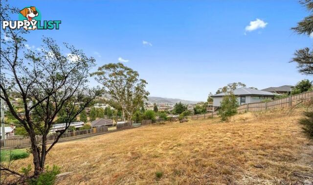 20 Atherton Avenue West Moonah TAS 7009