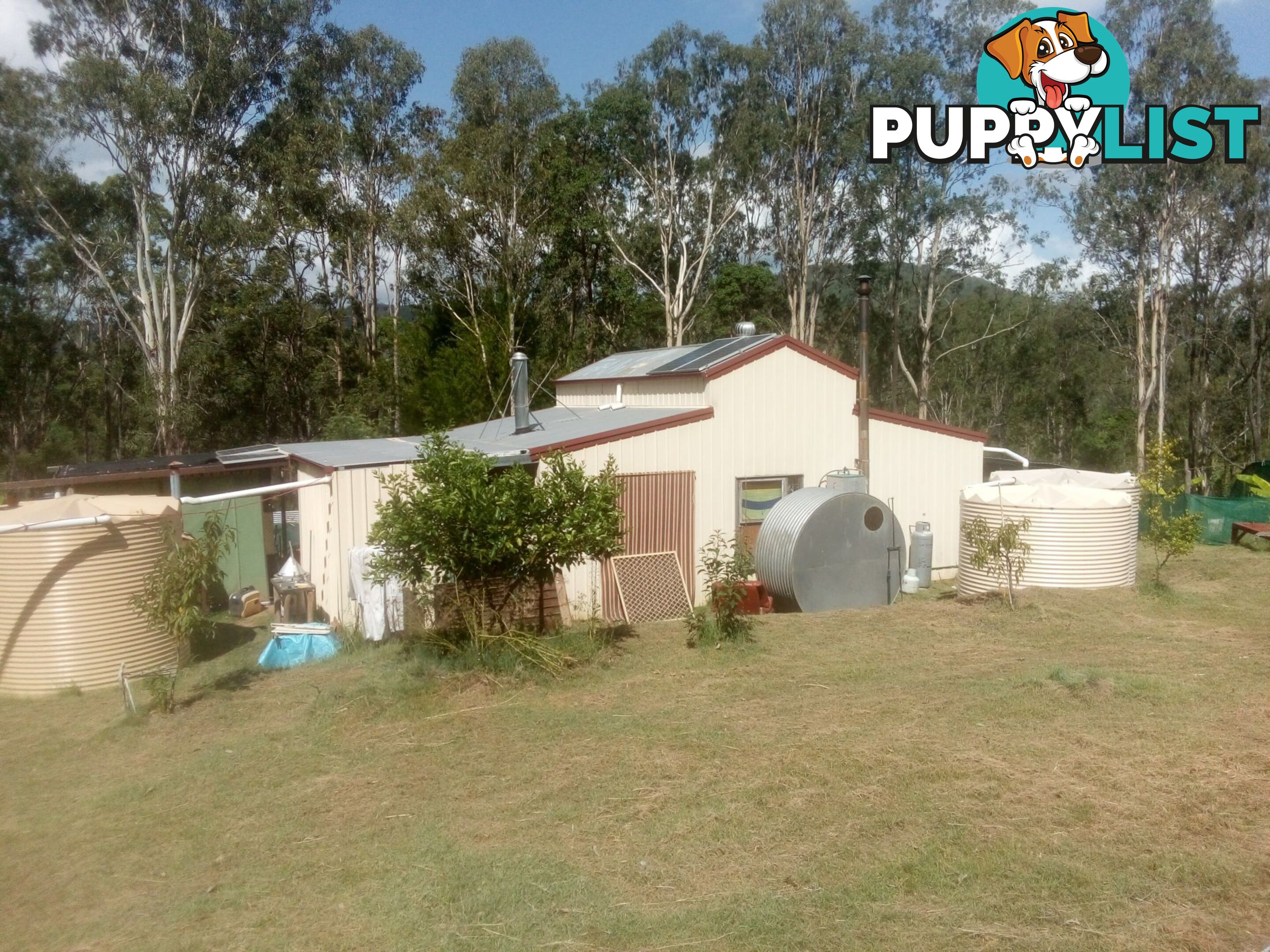 1534 AB Paddy's Flat Road Tabulam NSW 2469