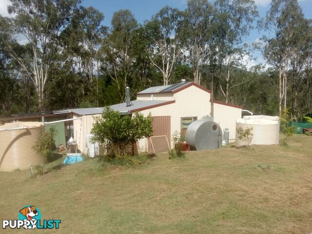 1534 AB Paddy's Flat Road Tabulam NSW 2469