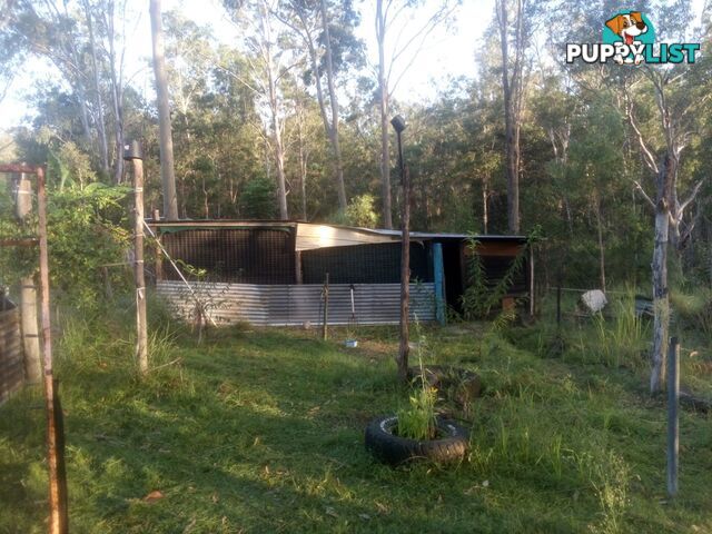 1534 AB Paddy's Flat Road Tabulam NSW 2469