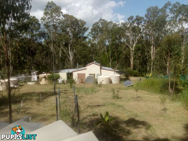 1534 AB Paddy's Flat Road Tabulam NSW 2469