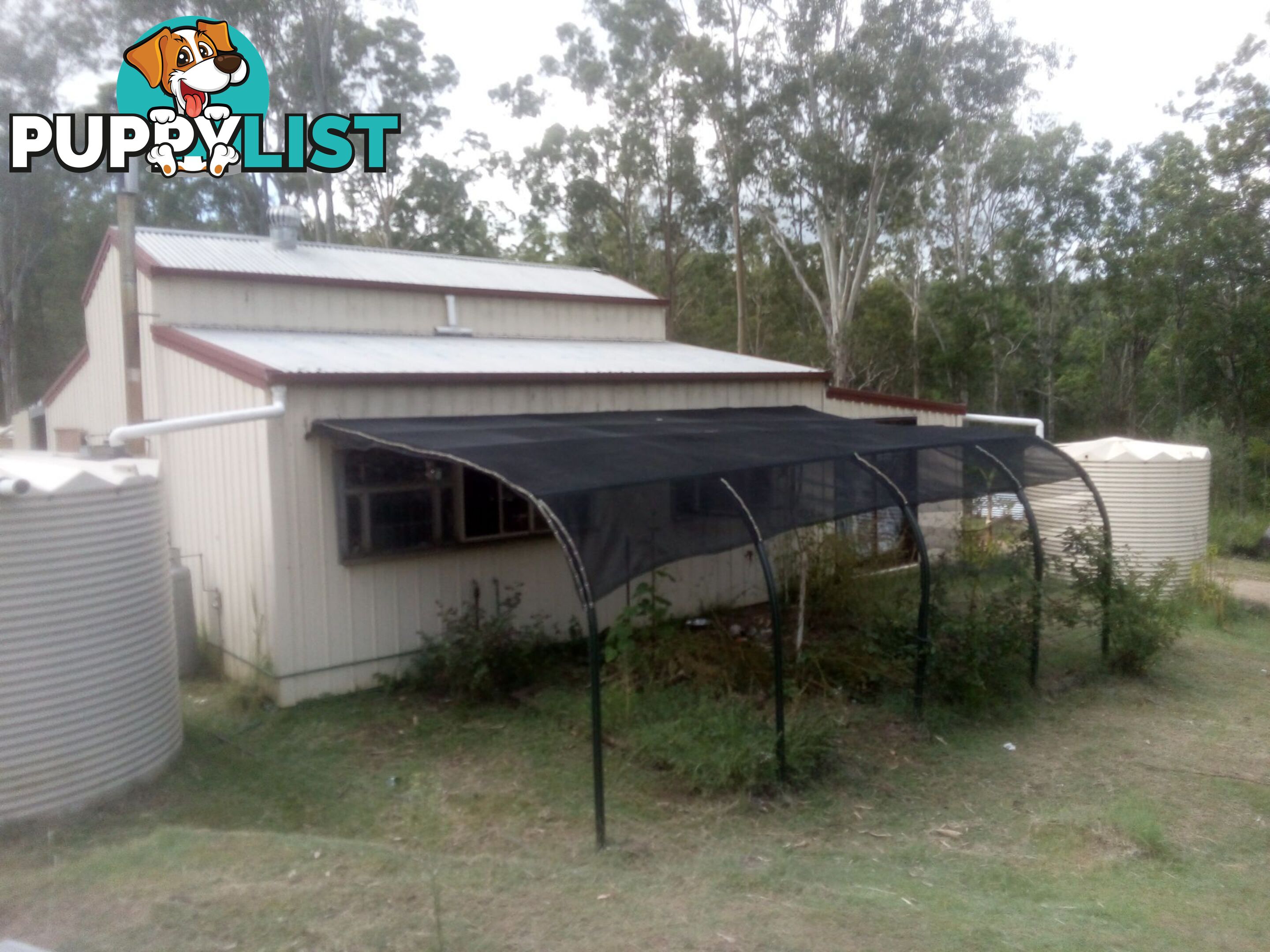 1534 AB Paddy's Flat Road Tabulam NSW 2469