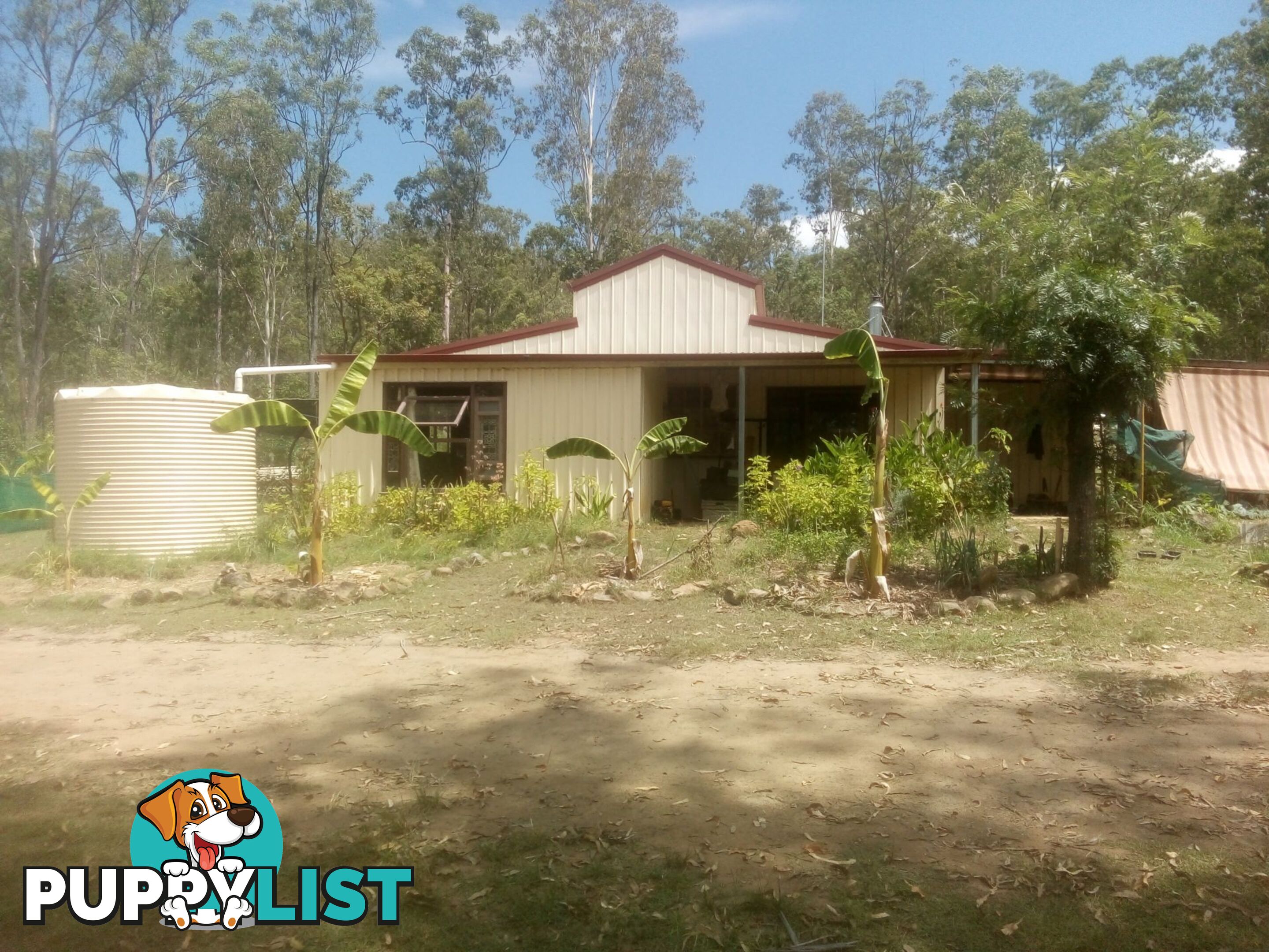 1534 AB Paddy's Flat Road Tabulam NSW 2469