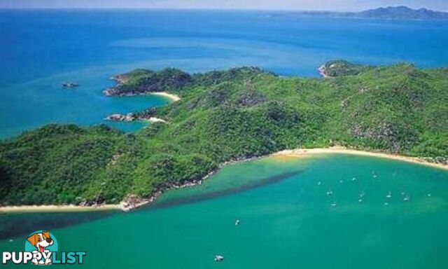 Magnetic Island QLD 4819