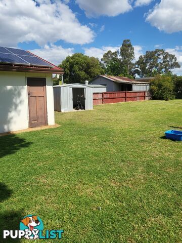 70 Edwards Street Coonabarabran NSW 2357