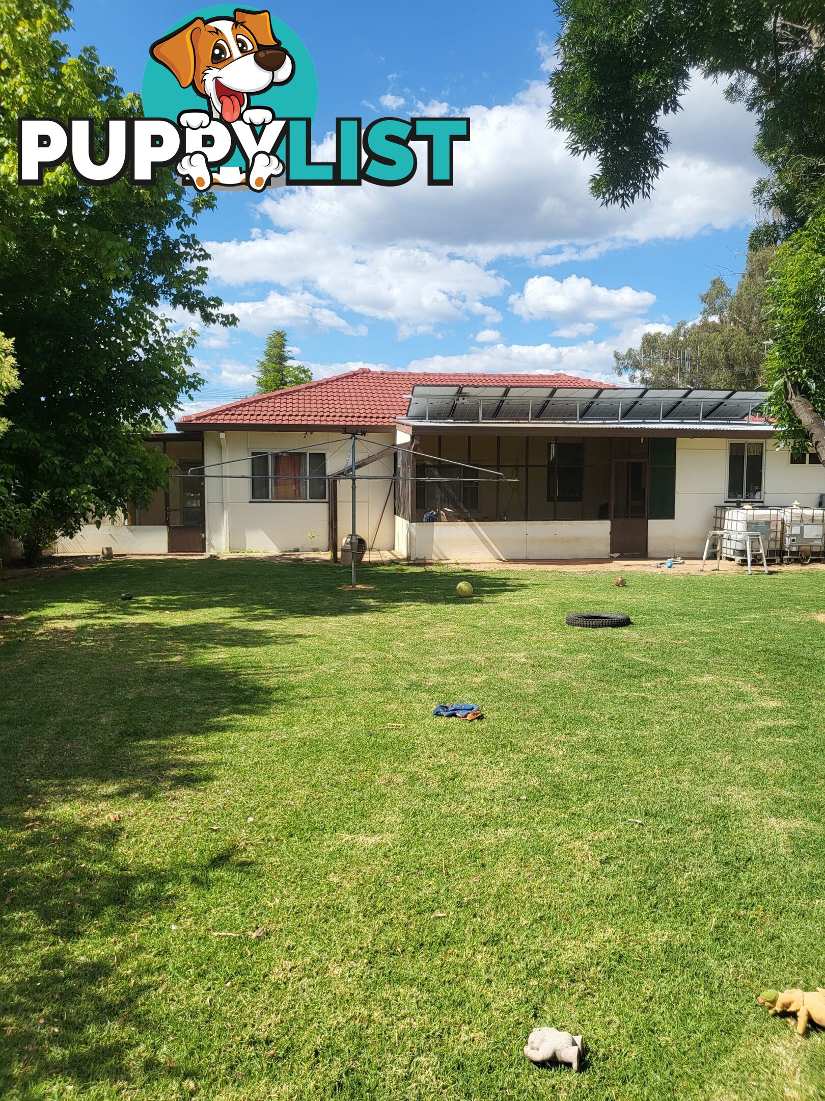 70 Edwards Street Coonabarabran NSW 2357