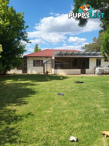 70 Edwards Street Coonabarabran NSW 2357