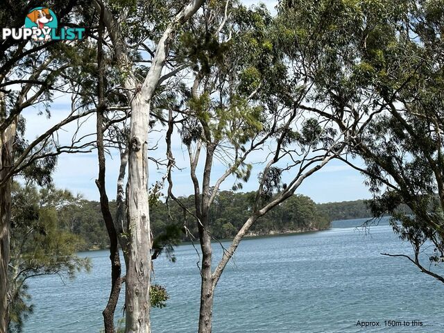 1 Havana Way Nords Wharf NSW 2281