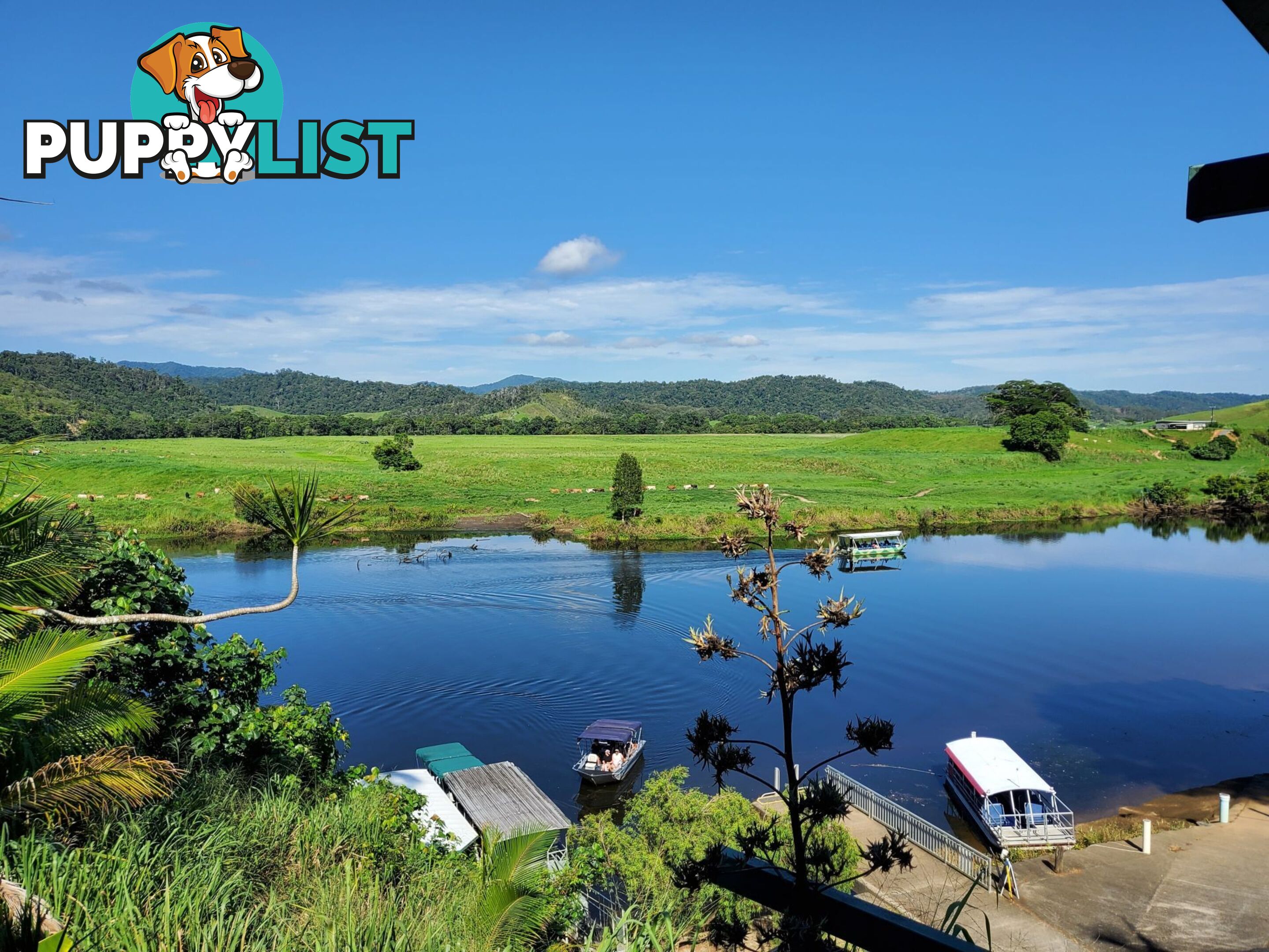 2 Stewart Street Daintree QLD 4873