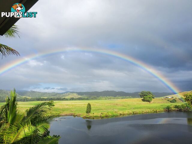 2 Stewart Street Daintree QLD 4873