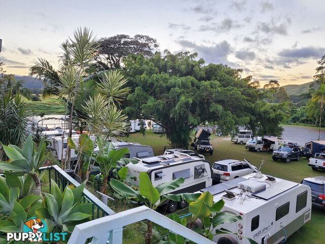 2 Stewart Street Daintree QLD 4873