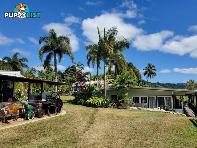 2 Stewart Street Daintree QLD 4873