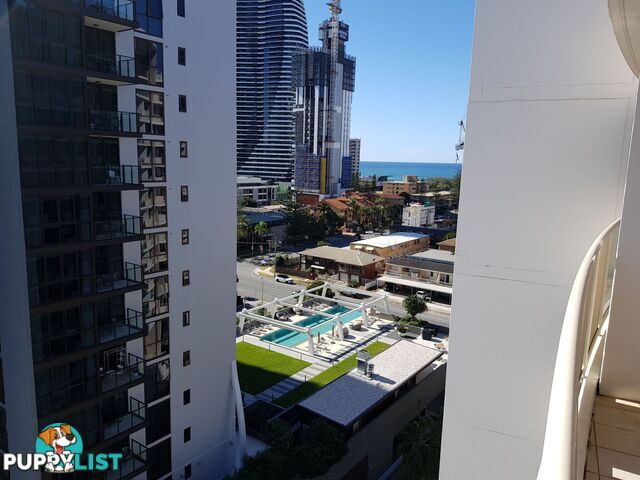 1100-1101/42 Surf Parade Broadbeach QLD 4218