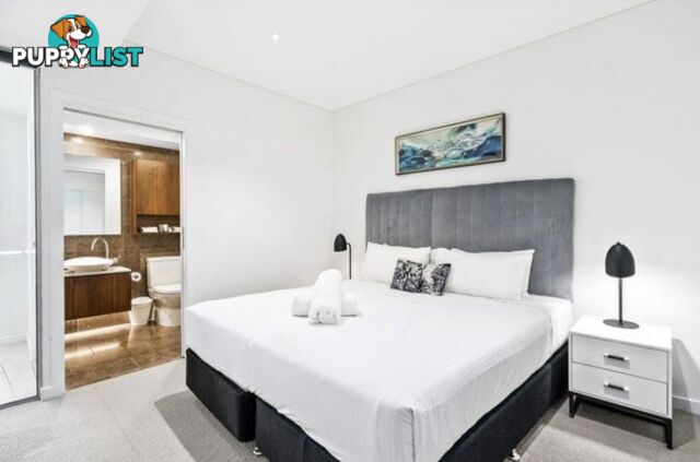 6003/222 Margaret Street Brisbane City QLD 4000