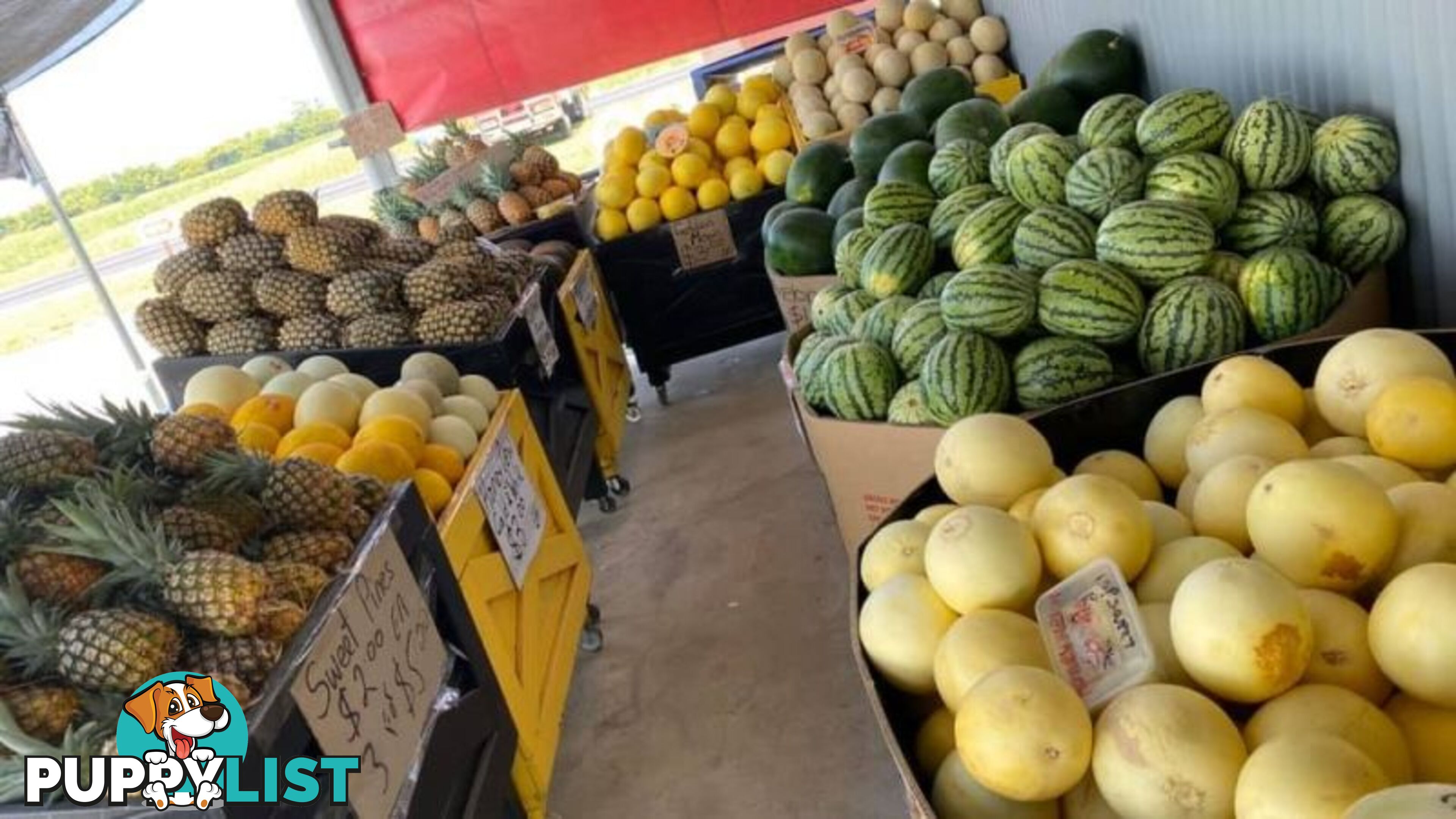 Tropical Fruit Train 50 Moresby Road Moresby QLD 4871