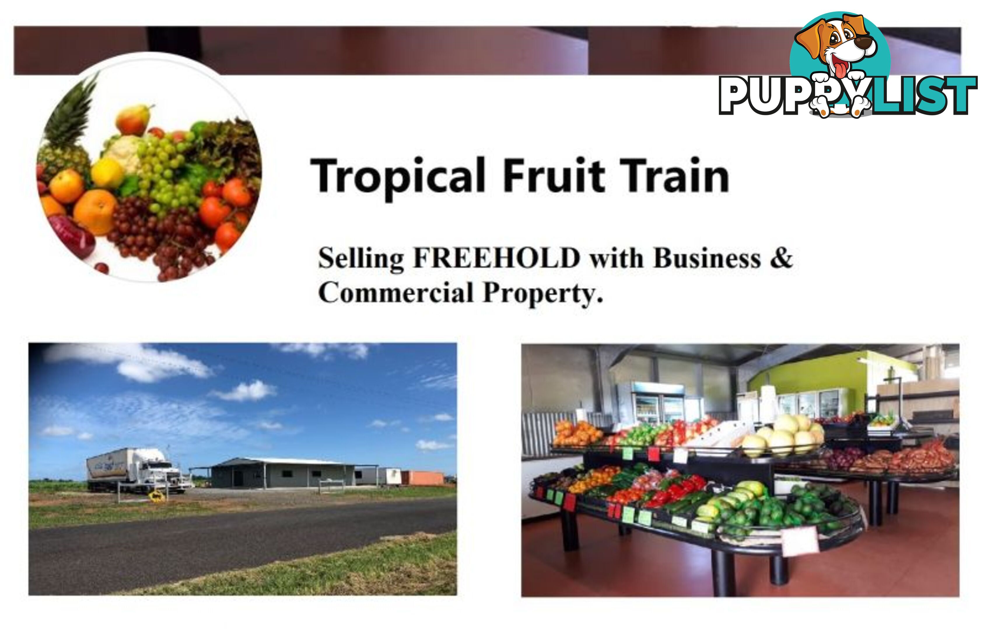 Tropical Fruit Train 50 Moresby Road Moresby QLD 4871